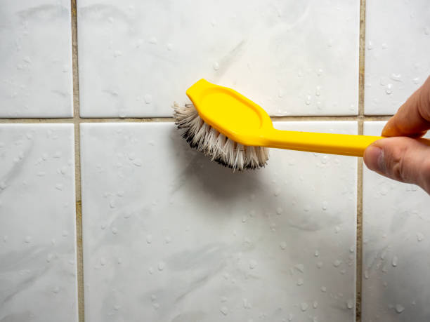 Best Mold Removal and Inspection  in Melrose, MN