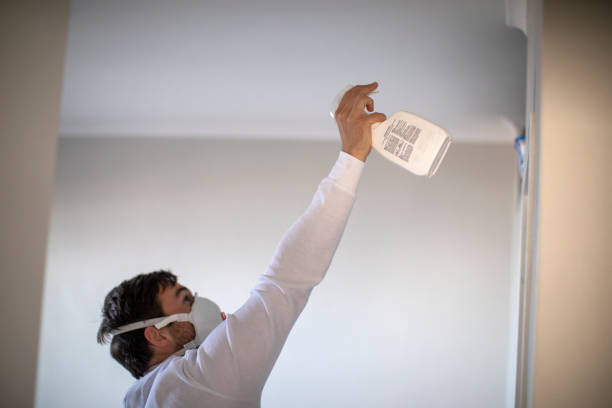 Mold Removal and Inspection in Melrose, MN