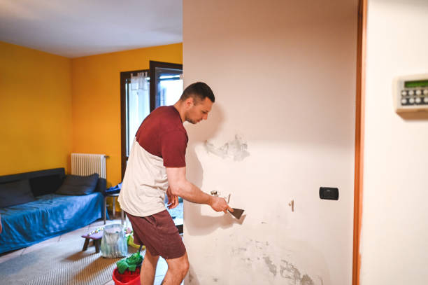 Best Commercial Mold Removal  in Melrose, MN